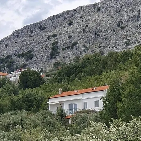 The Olive Tree Διαμέρισμα